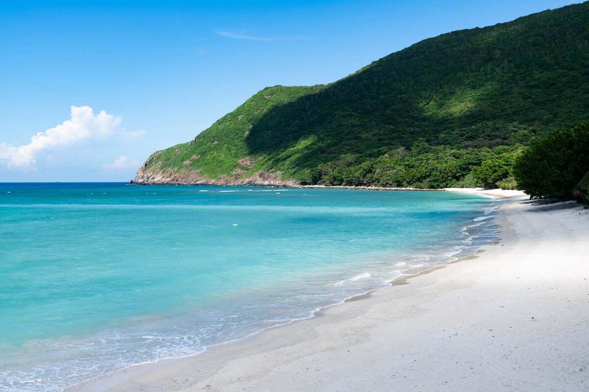 Discovering Vietnam's main sea turtle nesting ground