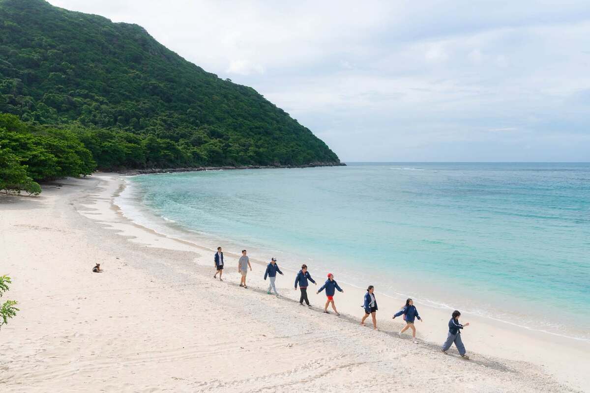 Discovering Vietnam's main sea turtle nesting ground