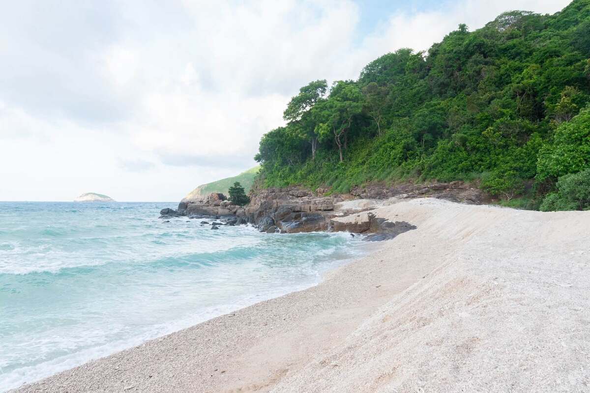 Discovering Vietnam's main sea turtle nesting ground