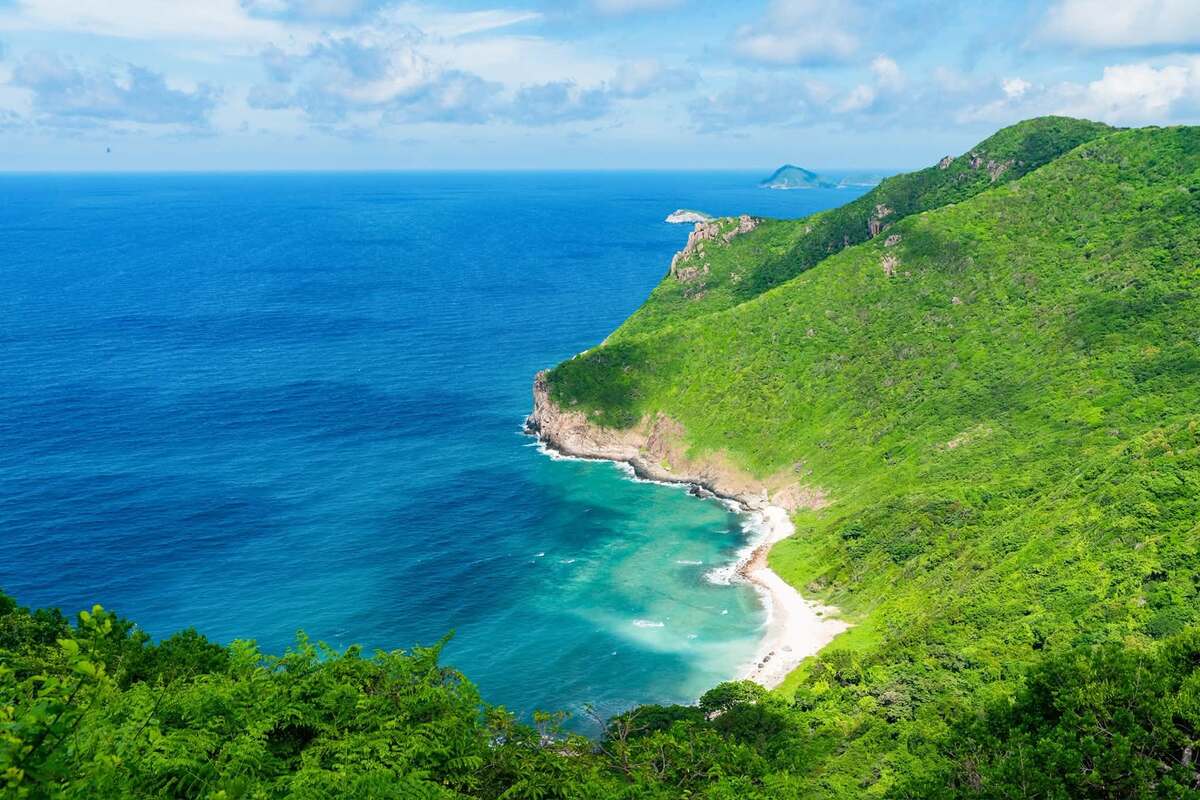 Discovering Vietnam's main sea turtle nesting ground