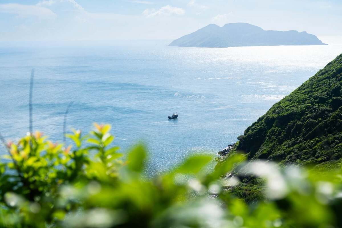 Discovering Vietnam's main sea turtle nesting ground