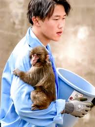 From viral clips to heartfelt moments, #Punch the Snow Monkey and his devoted zookeepers have captured the hearts of Filipinos everywhere. Their genuine bond, filled with laughter, tears, and unexpected kilig, proves