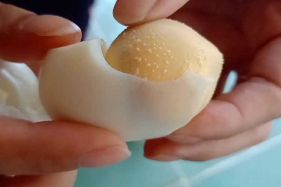 Cách trị mụn đầu đen bằng trứng gà hiệu quả tại nhà - dr_spiller
