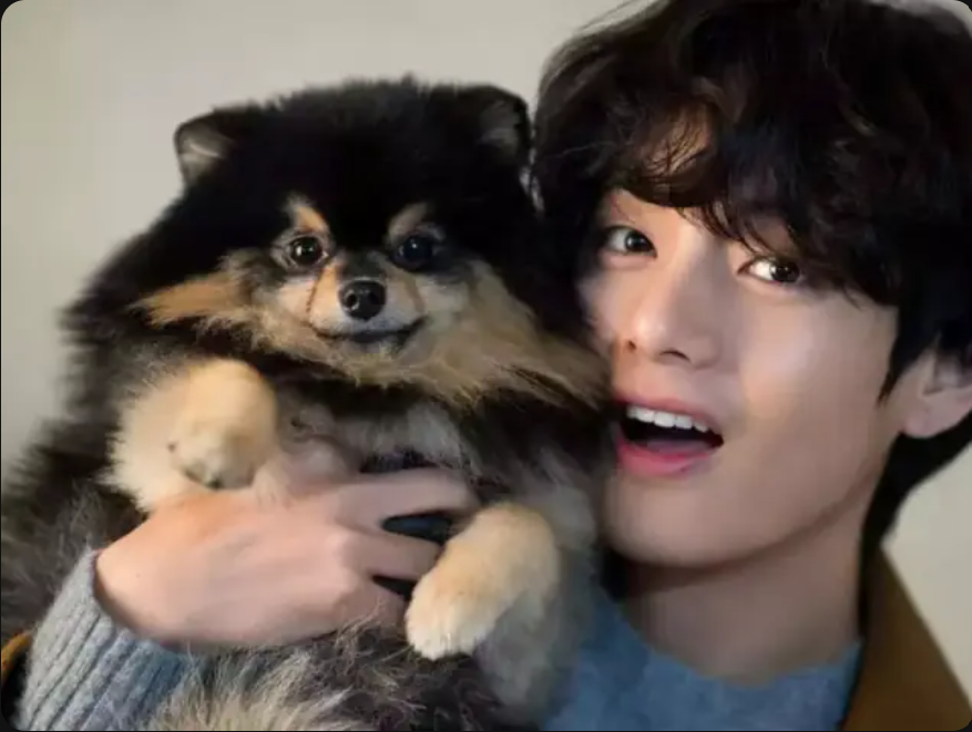 Looking back at memorable moments of BTS's pet V - Yeontan: 7 years in the blink of an eye