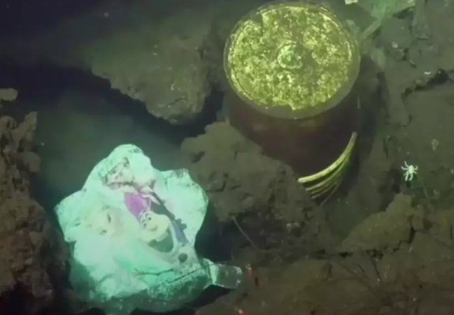Depressing Find at the Bottom of the Mariana Trench Is a Warning to the World