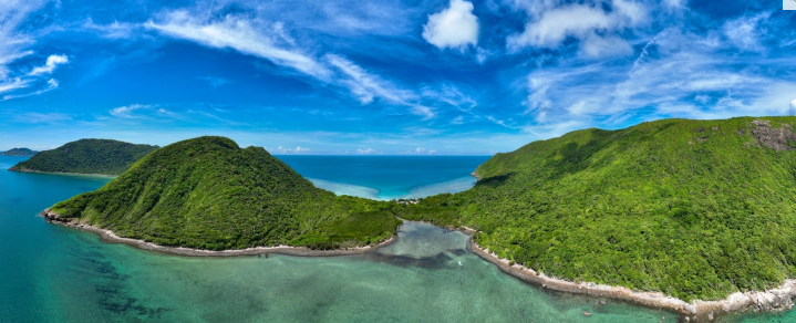 Discovering Vietnam's main sea turtle nesting ground