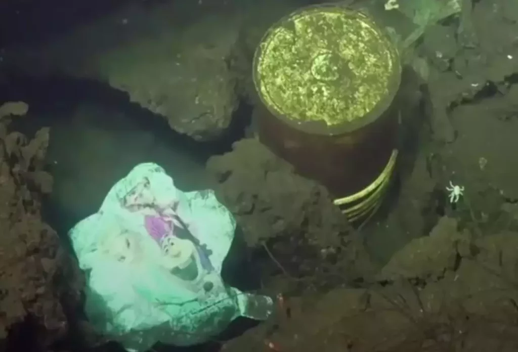 Depressng Find at the Bottom of the Mariana Trench Is a Warning to the World