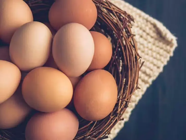 I Was Worried About the White String in Mys Egg—But the Truth Was Surprisingly Simple
